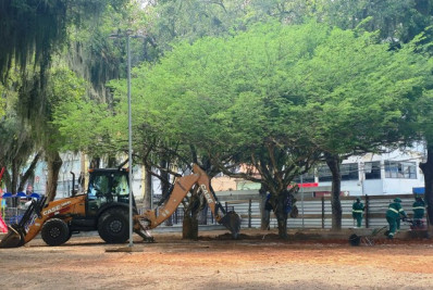 Praça Veríssimo de Melo recebe cuidado especial para preservar árvores históricas