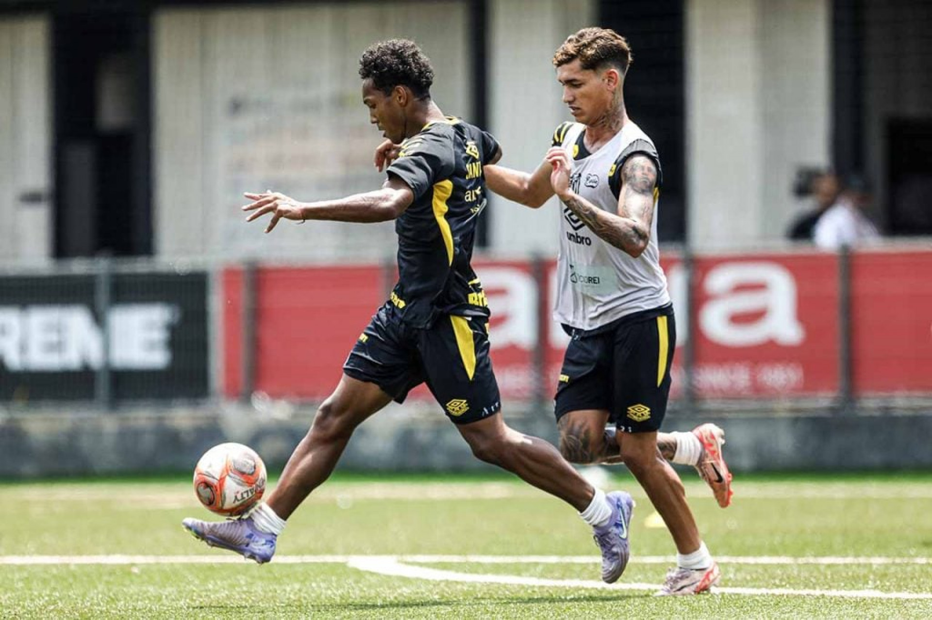 Com time em alta, Santos se prepara para a Copinha