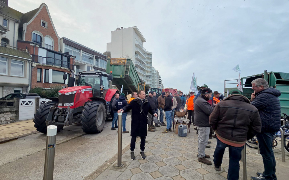 Manifestantes jogaram vários sacos de esterco, pneus, repolhos e galhos  - AFP