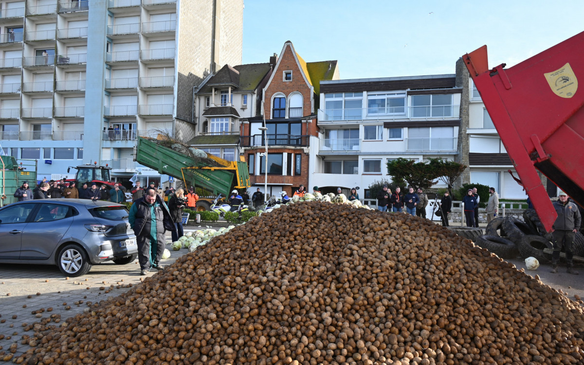 Manifestantes jogaram vários sacos de esterco, pneus, repolhos e galhos  - AFP