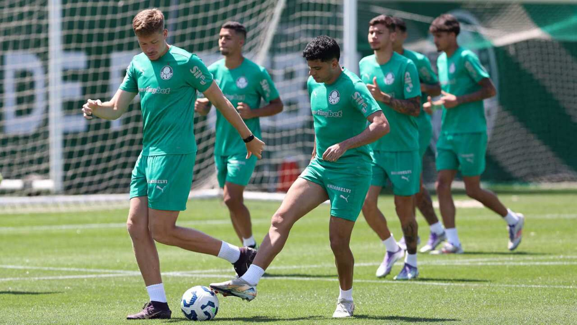 Palmeiras vai ao mercado atr&aacute;s de pe&ccedil;as pontuais e mais experientes