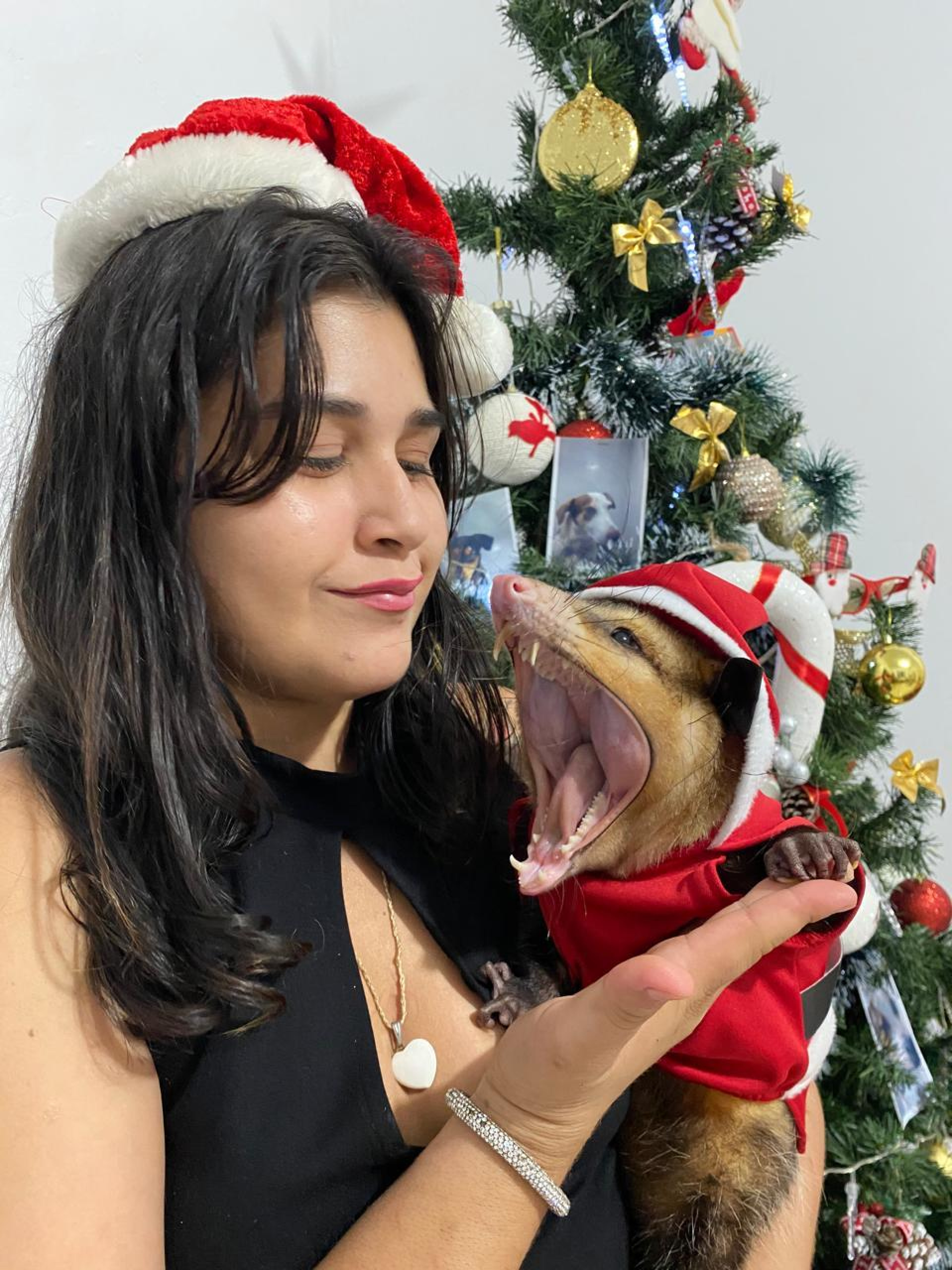 Bruna Saraiva, com o gambá \'Frederico\': \