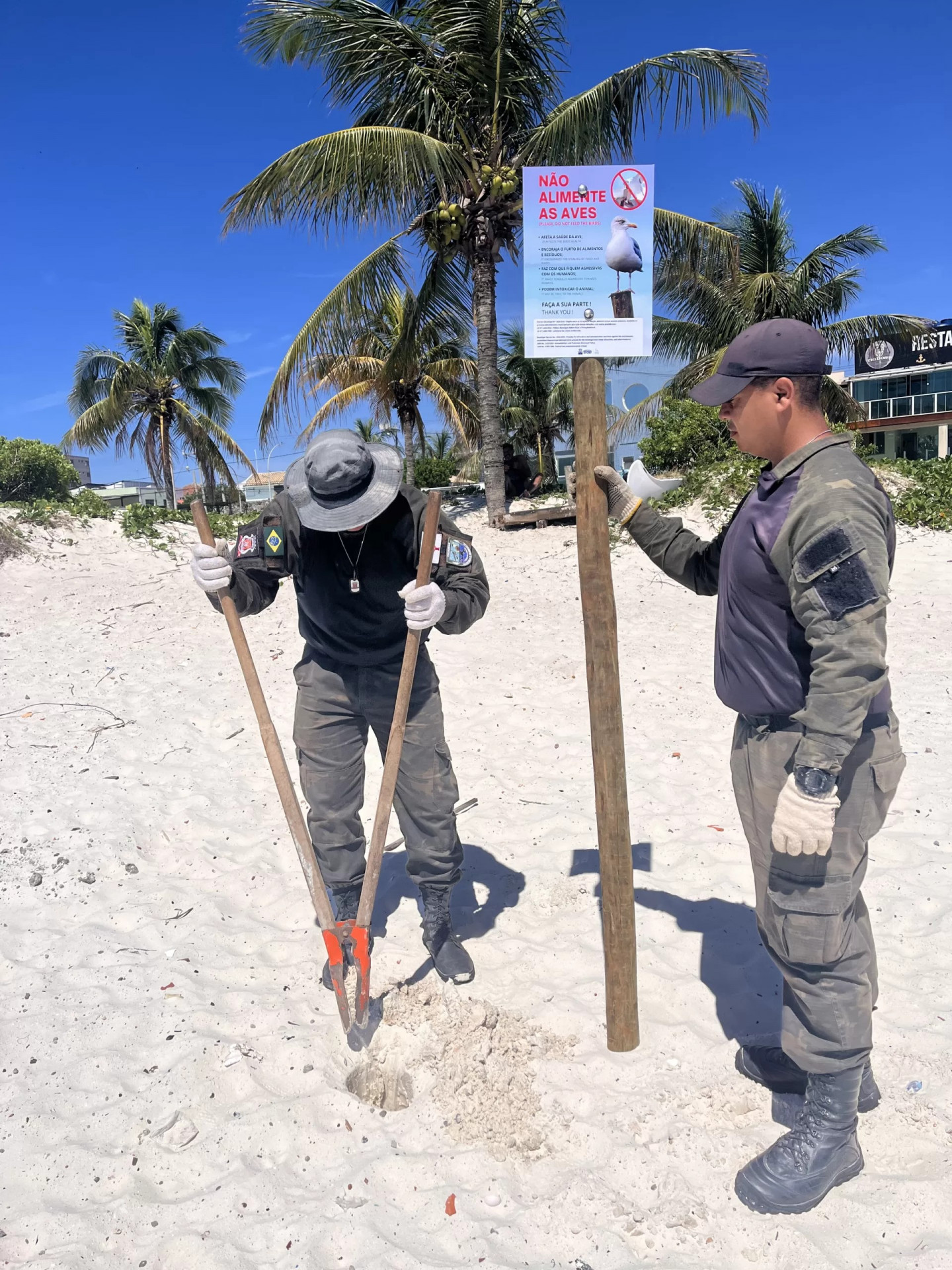 Placas educativas voltadas a campanhas ambientais - Ascom