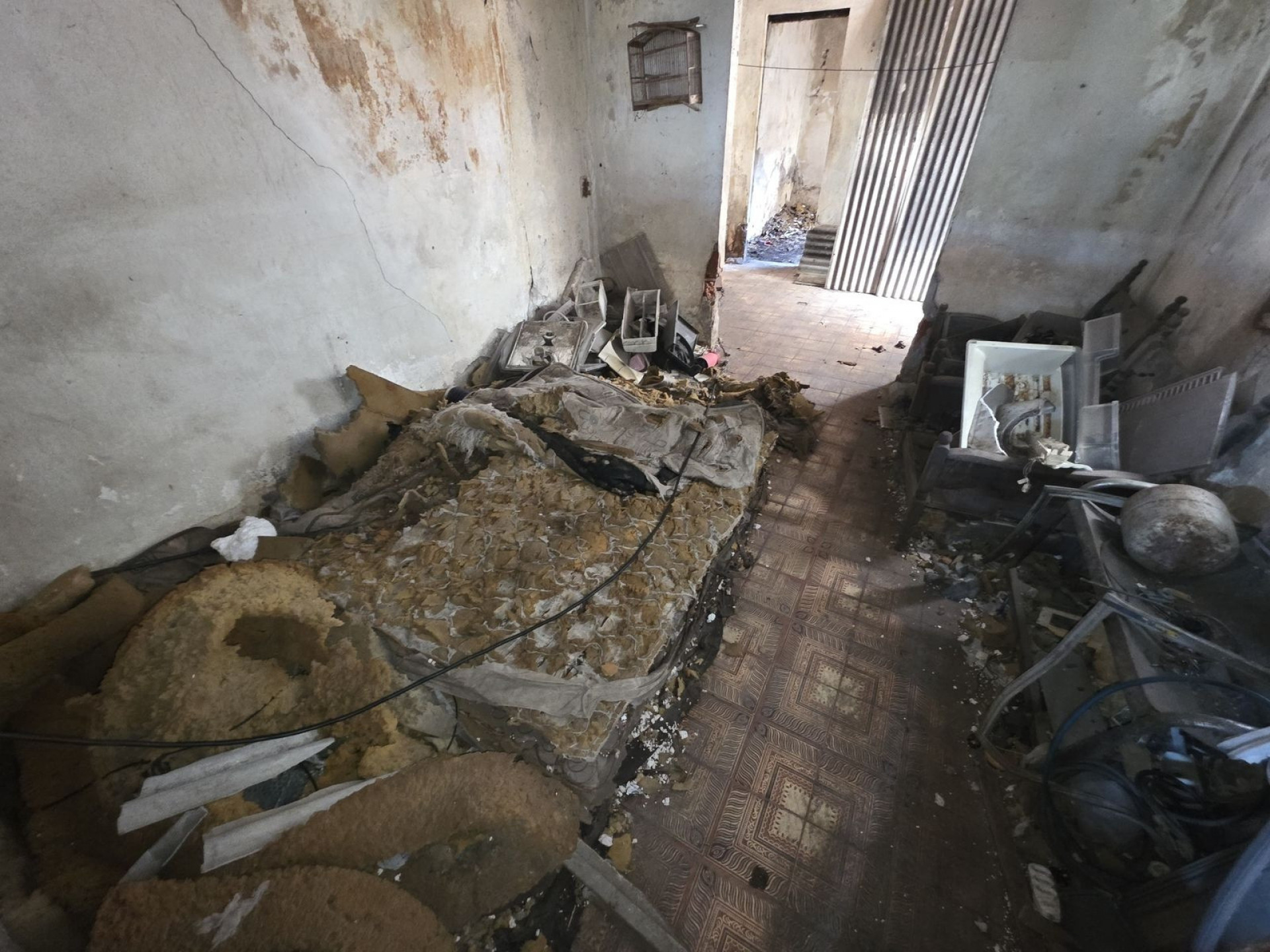 Segundo vizinhos, tutor dos animais está internado em coma - Divulgação/SMPDA