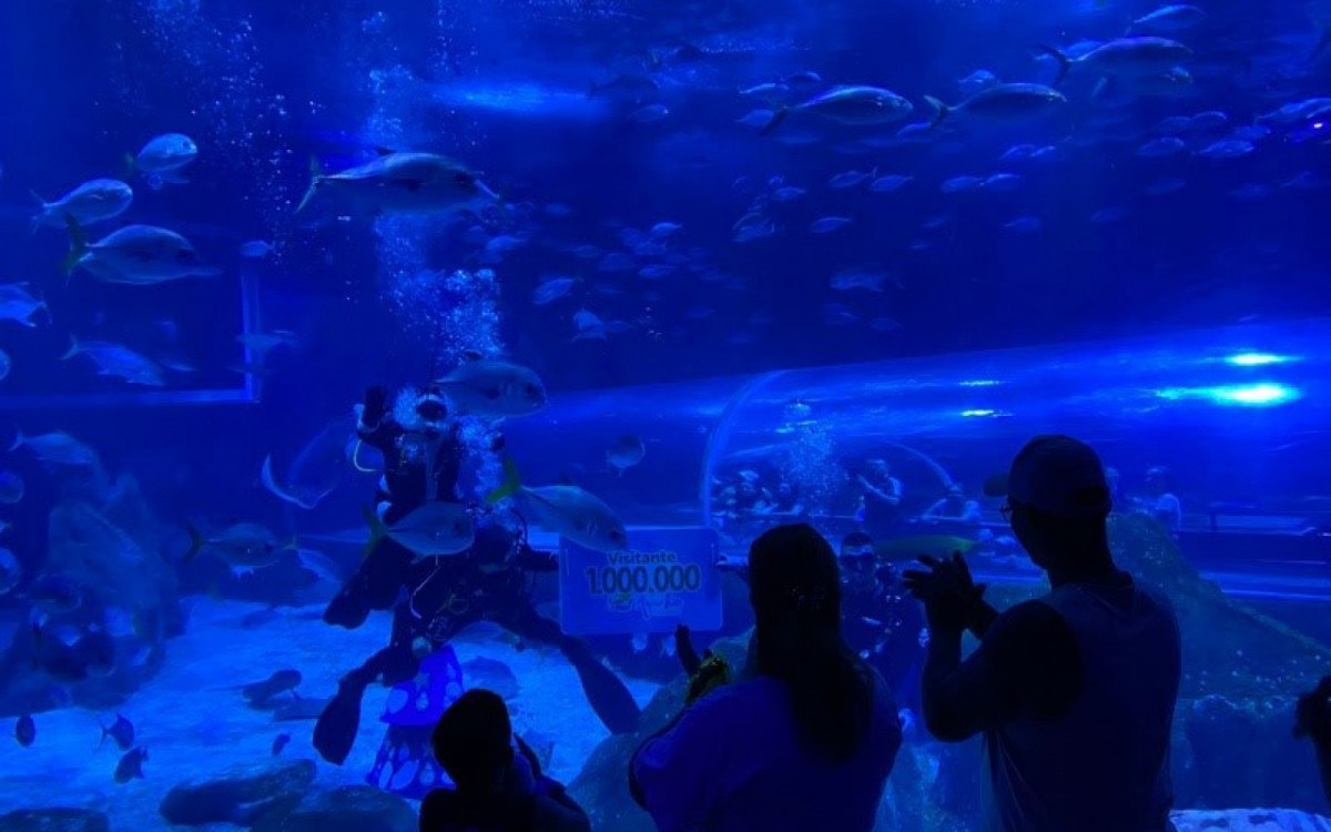 A família de São Paulo que \'representou\' a marca de 1 milhão de visitantes ao AquaRio em 2025