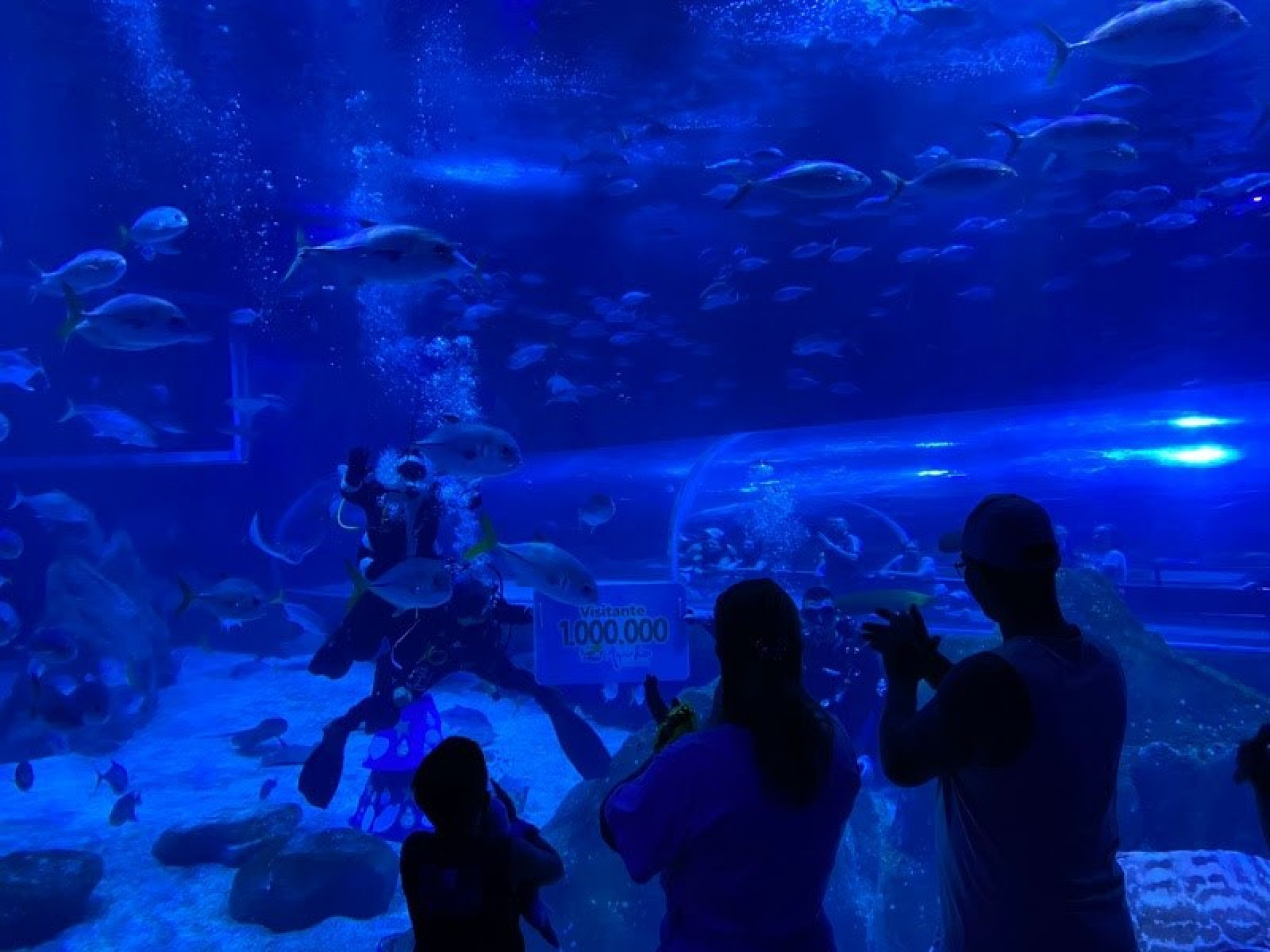 A fam&iacute;lia de S&atilde;o Paulo que 'representou' a marca de 1 milh&atilde;o de visitantes ao AquaRio em 2025 - Divulga&ccedil;&atilde;o