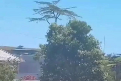 Cavalo está há pelo menos cinco dias amarrado em praça do Parque Hotel, em Araruama