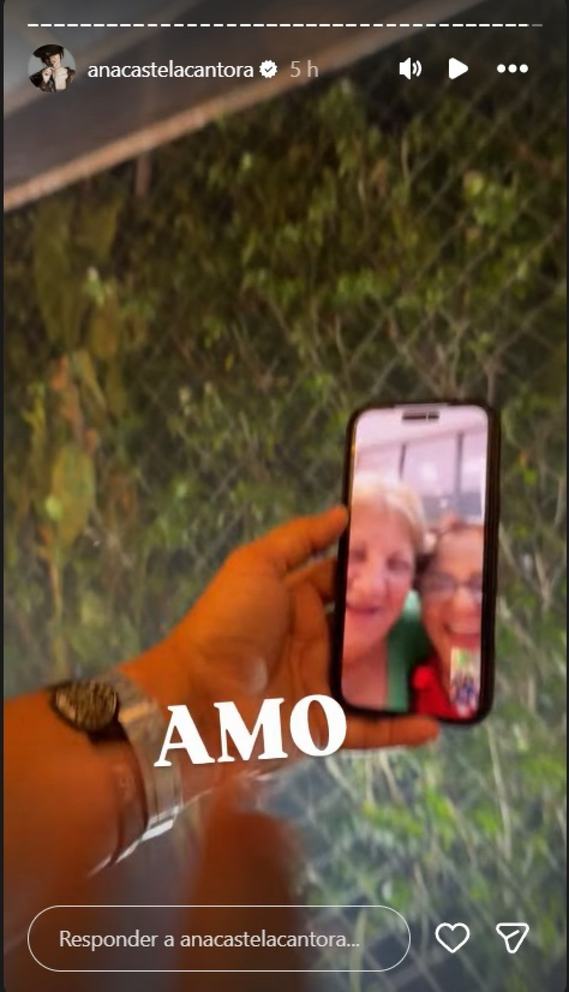 Ana Castela liga por vídeo para as avós - Reprodução / Instagram