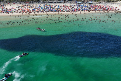 FOTOS: cardume surpreende banhistas nas praias do Leme e Arpoador