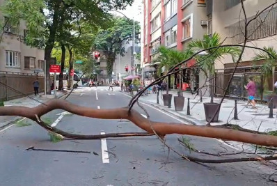 Queda de árvore interdita rua em Copacabana; veja vídeo