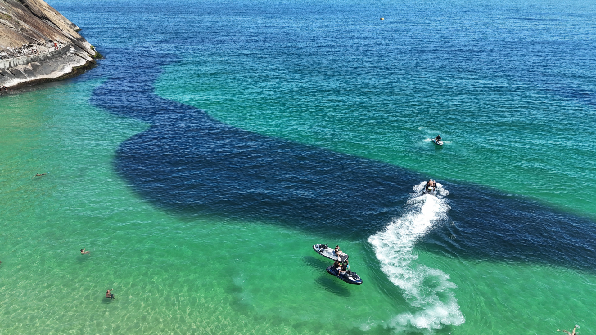 Grande cardume na praia do Leme, Zona Sul do Rio, na manhã desta sexta-feira (26) - Cesar Sales/ Parceiro/ Agência O Dia