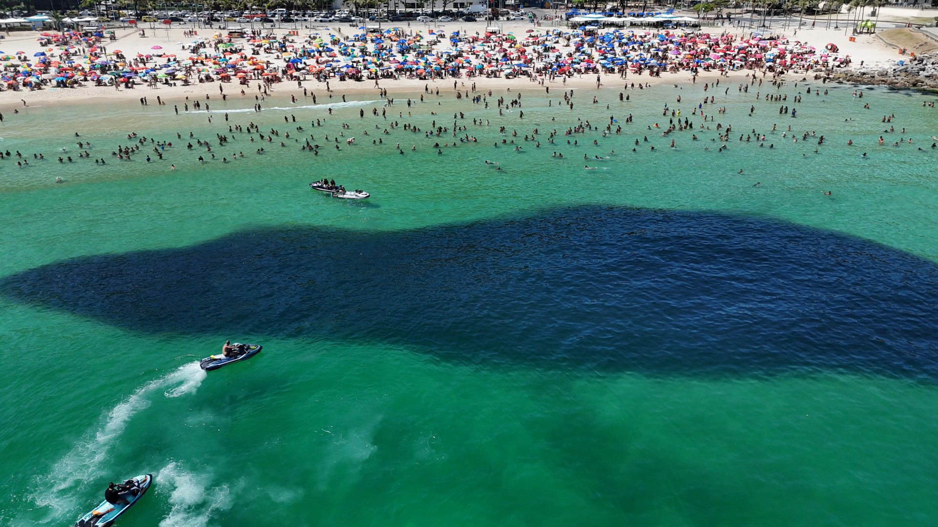 Grande cardume na praia do Leme, Zona Sul do Rio, na manhã desta sexta-feira (26) - Cesar Sales/ Parceiro/ Agência O Dia