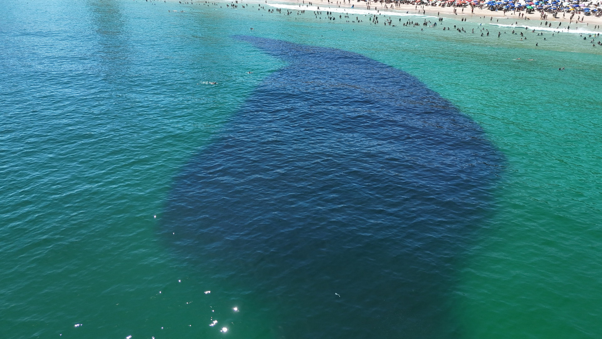 default - Cesar Sales/ Parceiro/ Agência O Dia