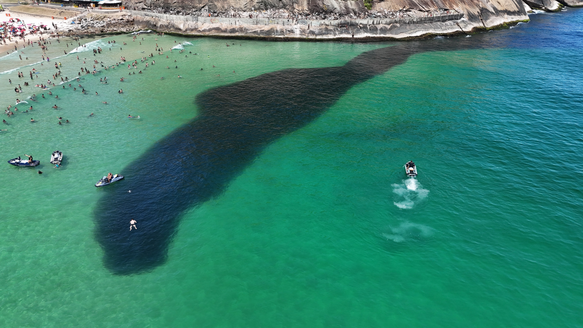 Grande cardume na praia do Leme, Zona Sul do Rio, na manhã desta sexta-feira (26) - Cesar Sales/ Parceiro/ Agência O Dia