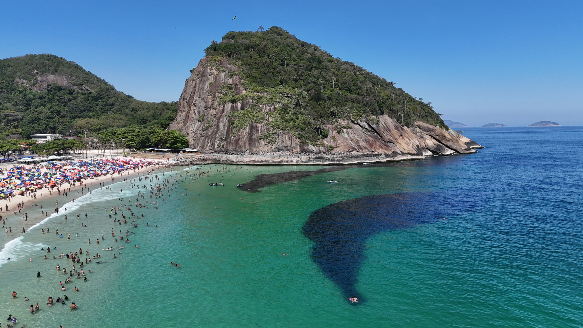 Grande cardume na praia do Leme, Zona Sul do Rio, na manhã desta sexta-feira (26) - Cesar Sales/ Parceiro/ Agência O Dia