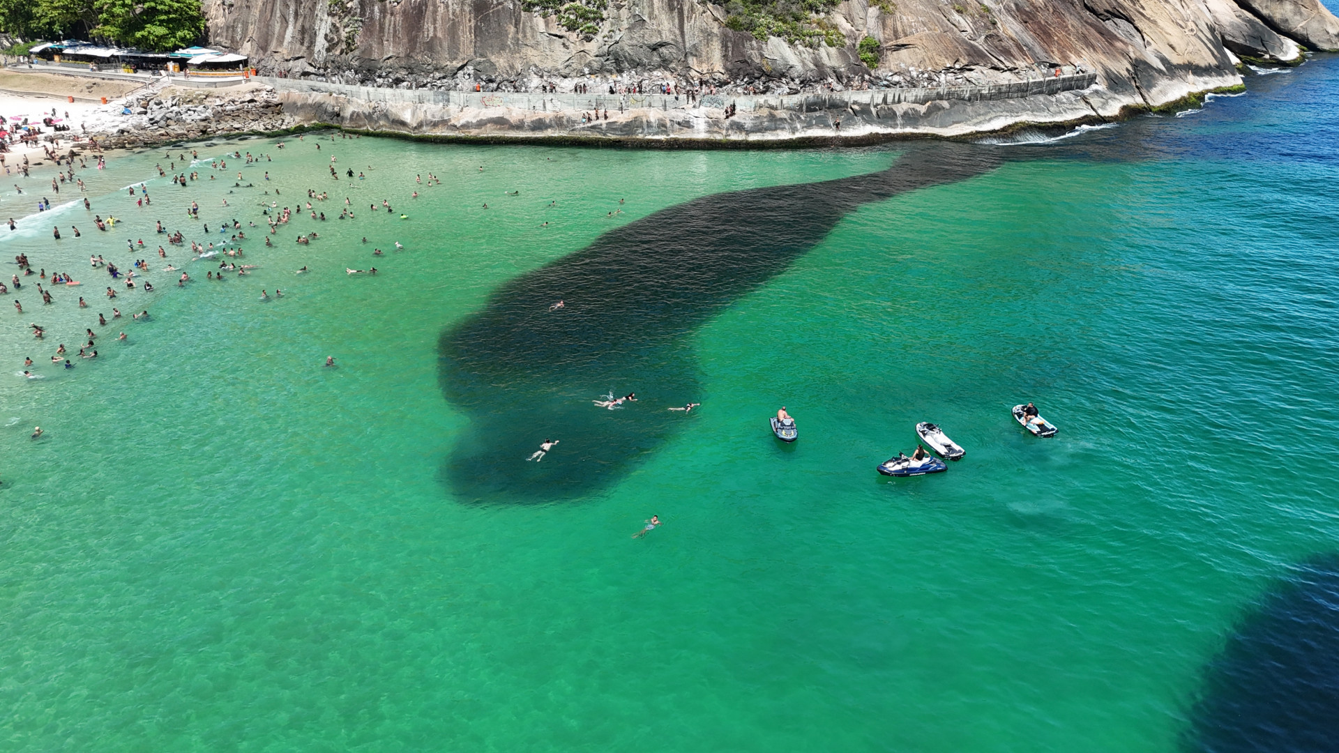 Grande cardume na praia do Leme, Zona Sul do Rio, na manhã desta sexta-feira (26) - Cesar Sales/ Parceiro/ Agência O Dia