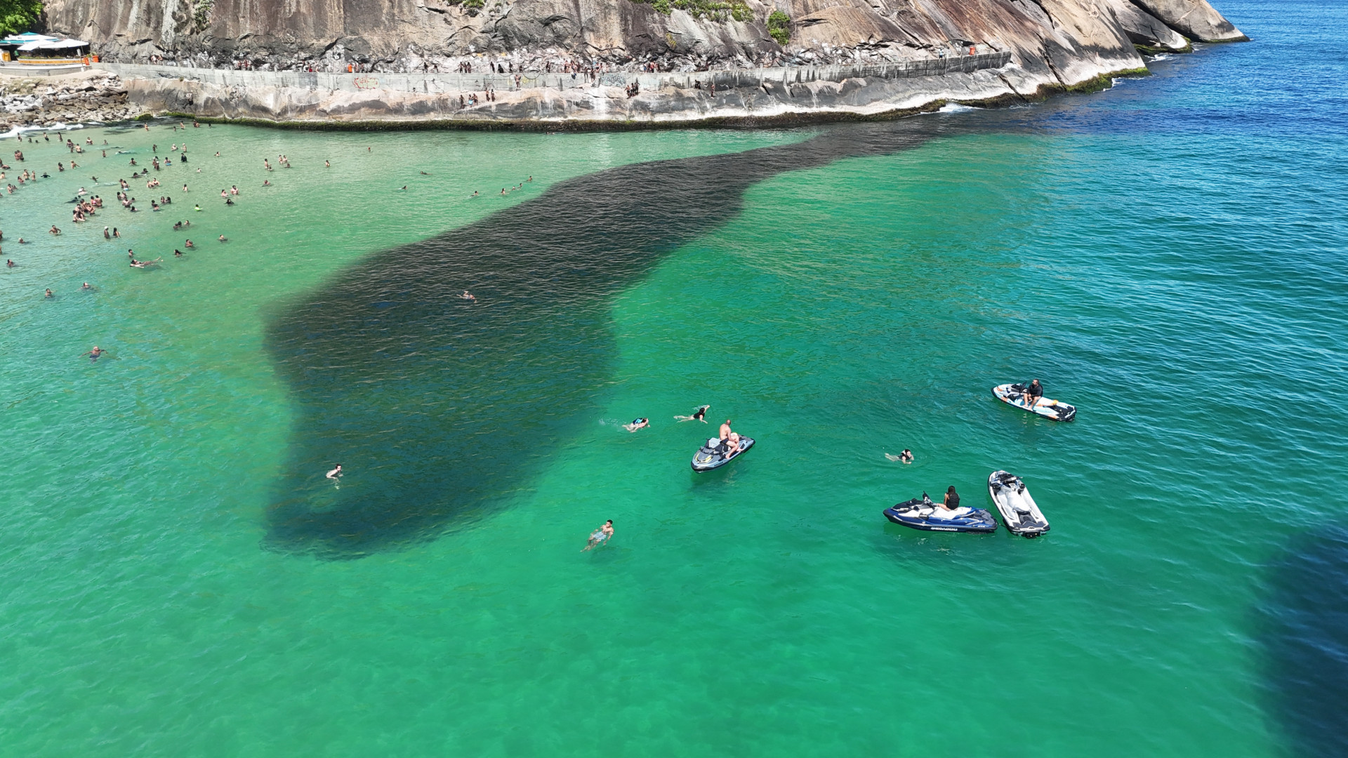 Grande cardume na praia do Leme, Zona Sul do Rio, na manhã desta sexta-feira (26) - Cesar Sales/ Parceiro/ Agência O Dia