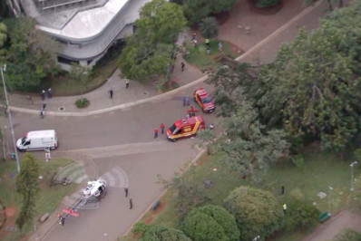 Duas pessoas ficam feridas após queda de árvore no parque do Ibirapuera