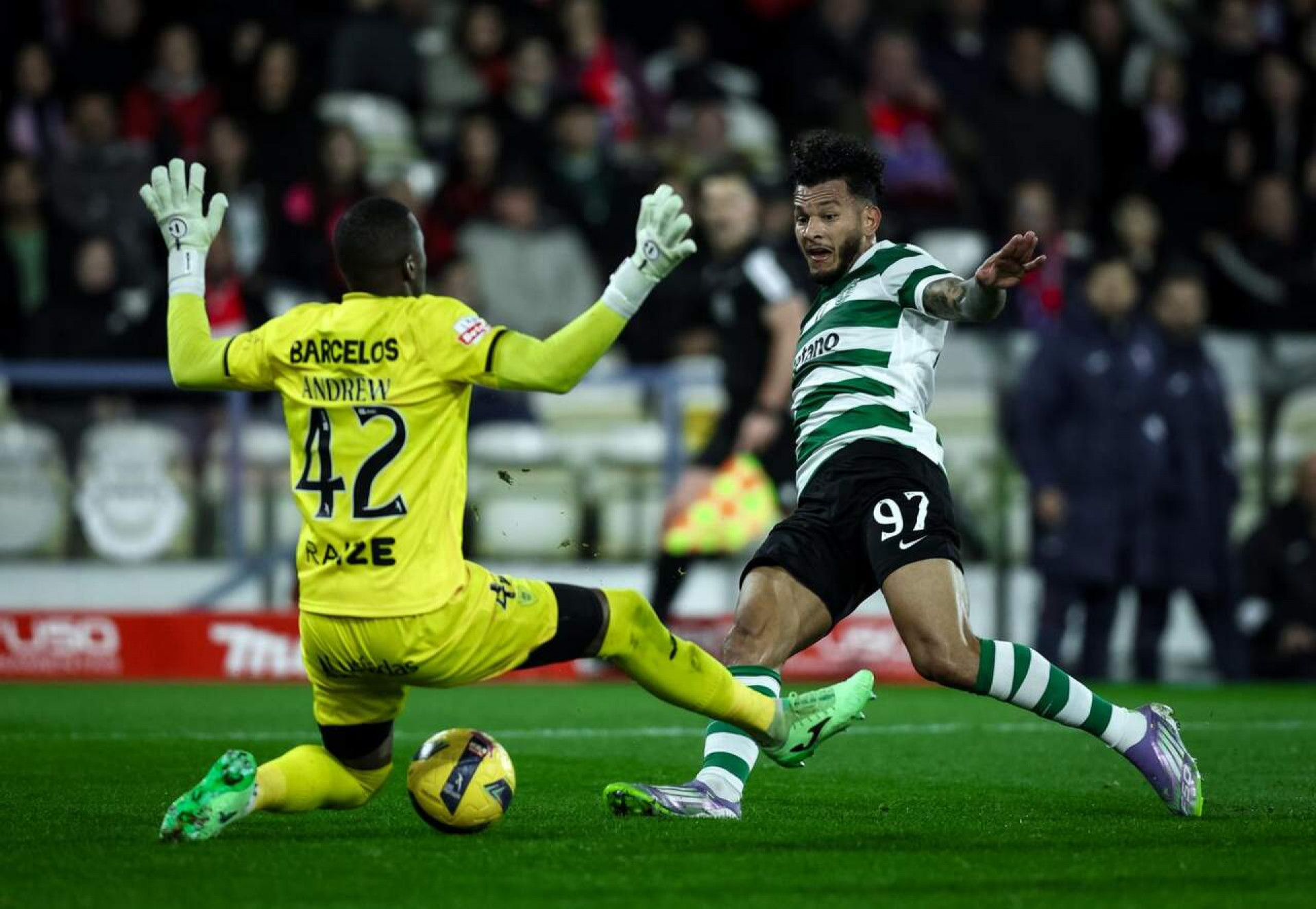 Botafogo abre negocia&ccedil;&atilde;o para repatriar goleiro Andrew