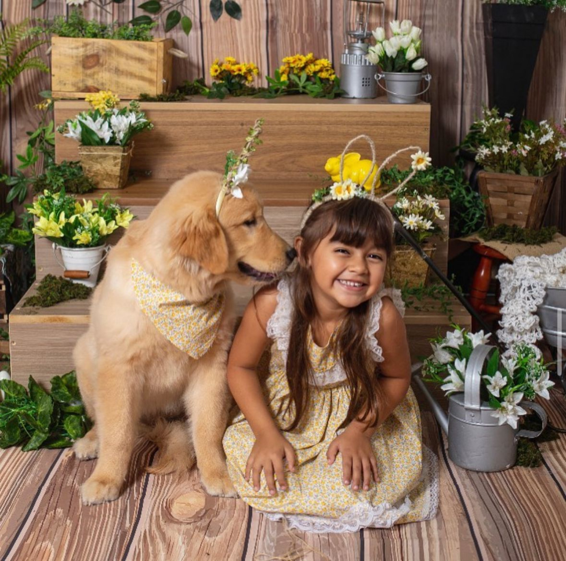 Cadela Maya, de 6 anos, era amada por sua família - Arquivo Pessoal