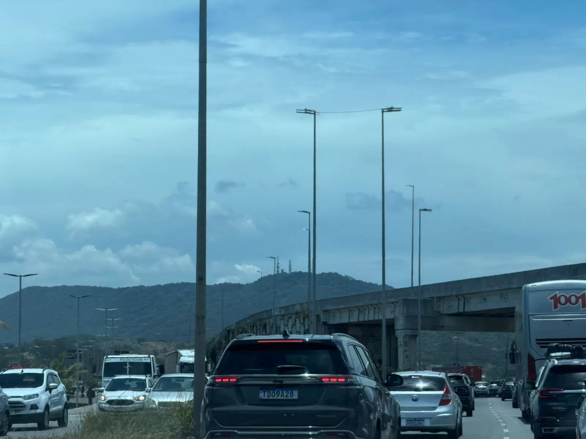 Tr&acirc;nsito - Reprodu&ccedil;&atilde;o