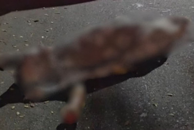 Homem é morto a tiros no Fonseca, em Niterói