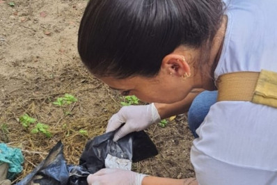 Ações contra Aedes aegypti reforçadas com cinco mutirões durante o verão