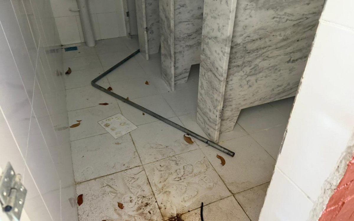 Criminoso depredou o banheiro da escola - Divulgação