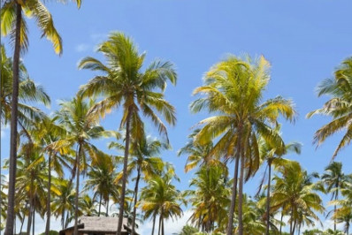 Valentina Herszage aproveita dia ensolarado na Bahia