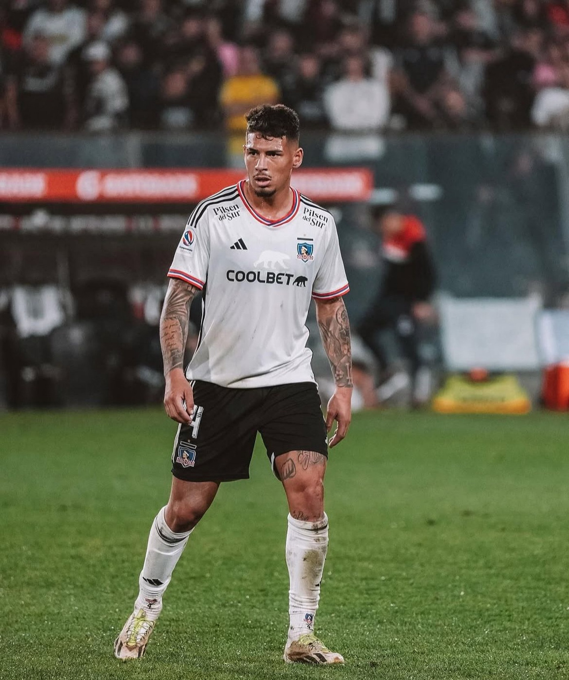 Saldivia agrada à comissão e pode ser um reforço para a defesa