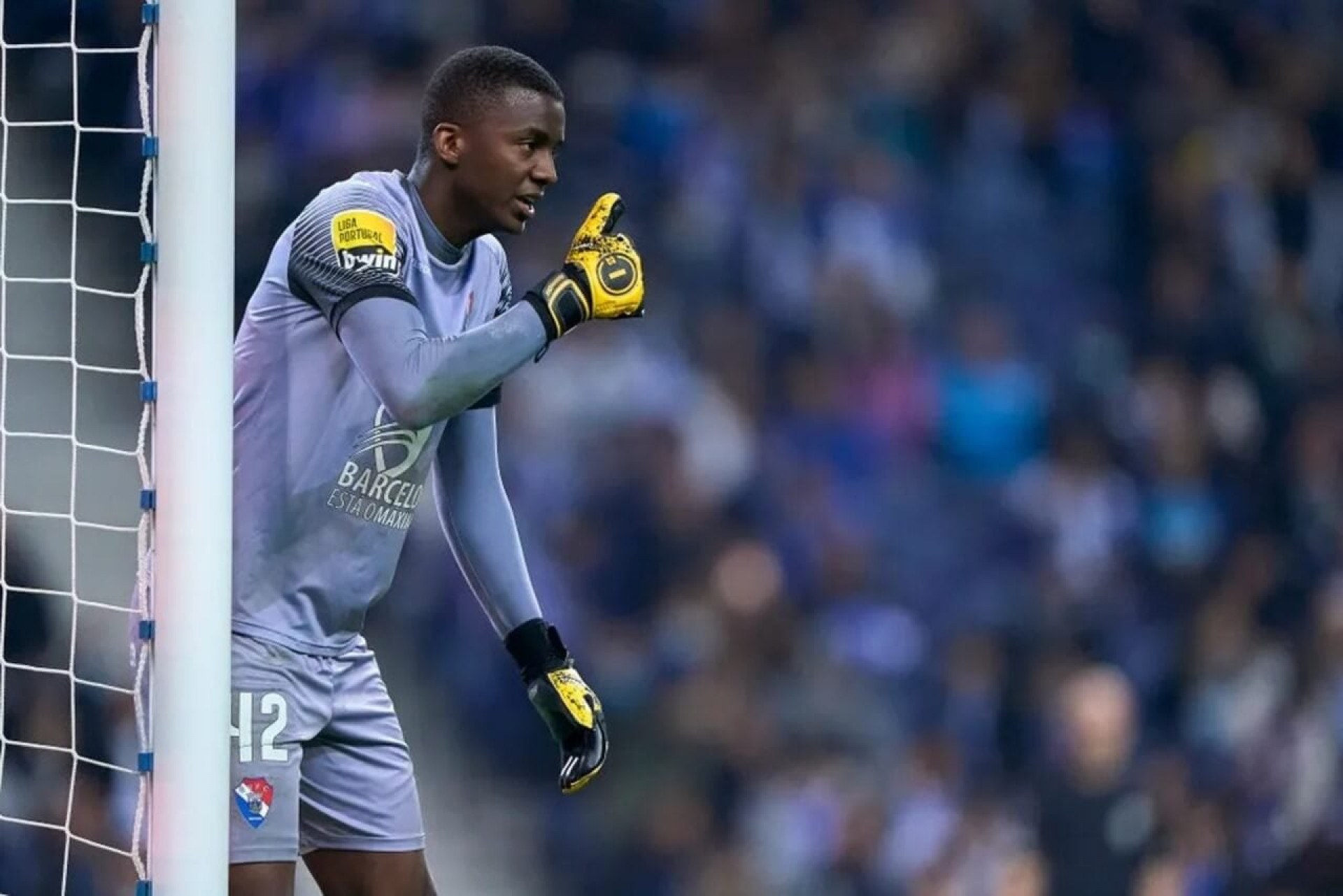 Botafogo acerta pr&eacute;-contrato com o goleiro Andrew