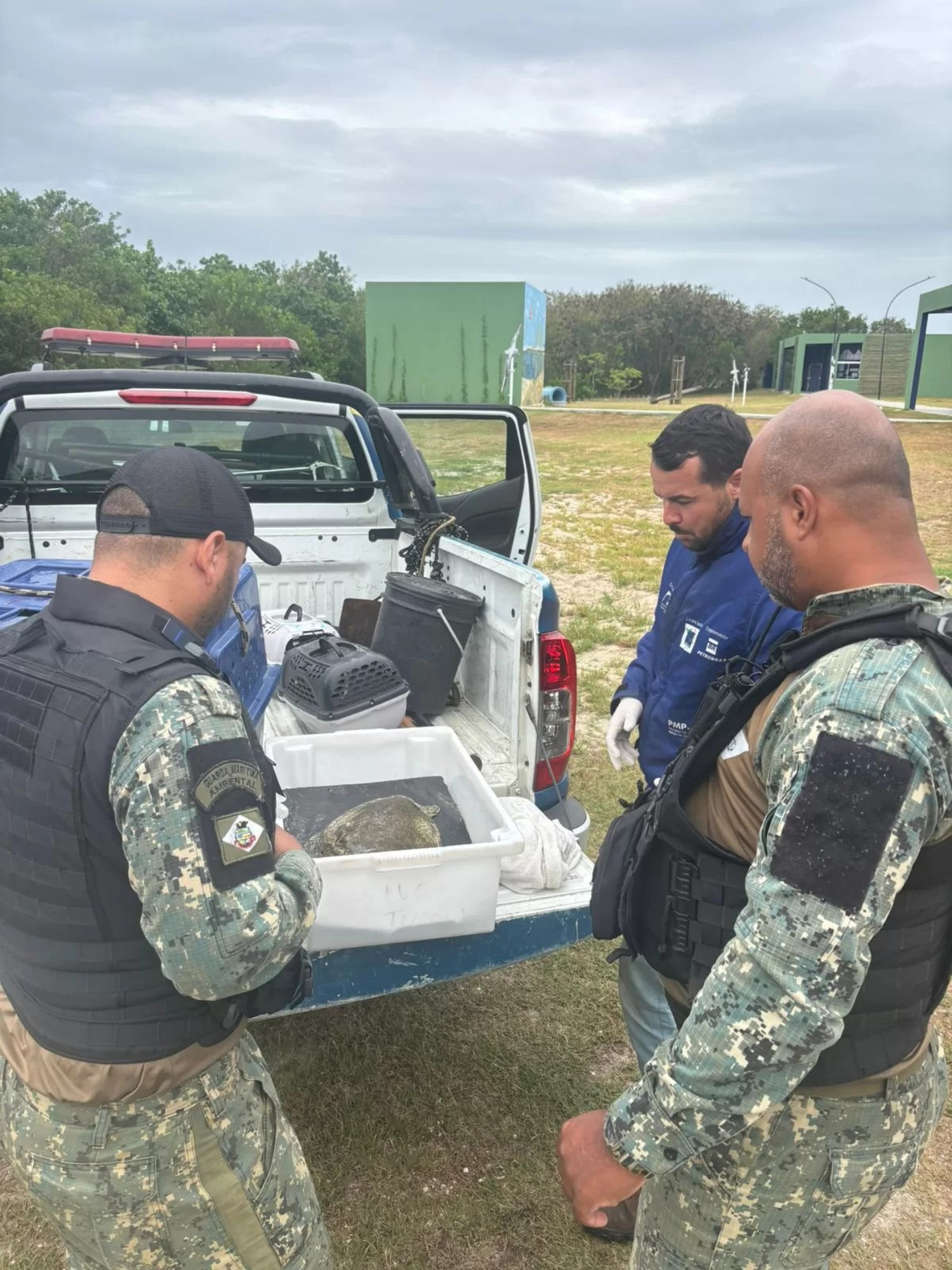 Tartaruga marinha e Lontra são resgatadas - Ascom