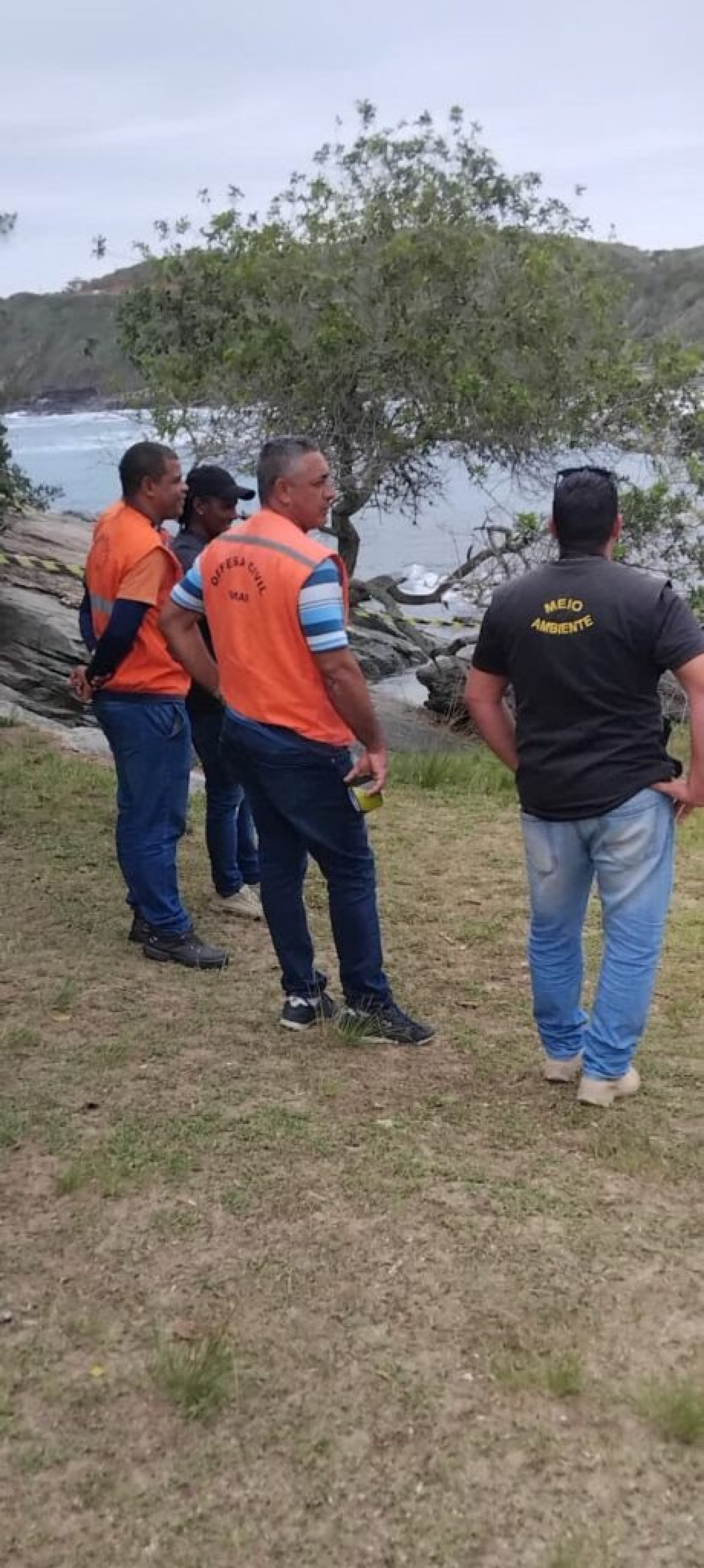 Ação de controle e remoção de vespas - Ascom