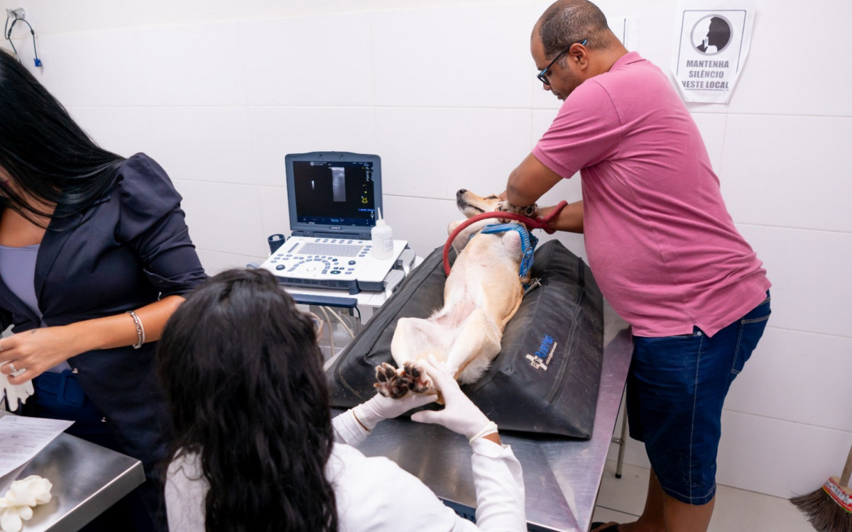 Hospital Veterin&aacute;rio de Caxias ultrapassa 311 mil atendimentos em 2025 - Divulga&ccedil;&atilde;o