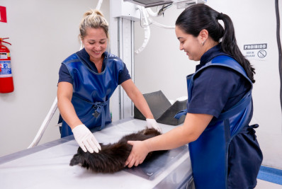 Hospital Veterinário de Caxias ultrapassa 311 mil atendimentos em 2025