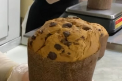 Anvisa determina recolhimento de panetones após encontrar fungos em lotes