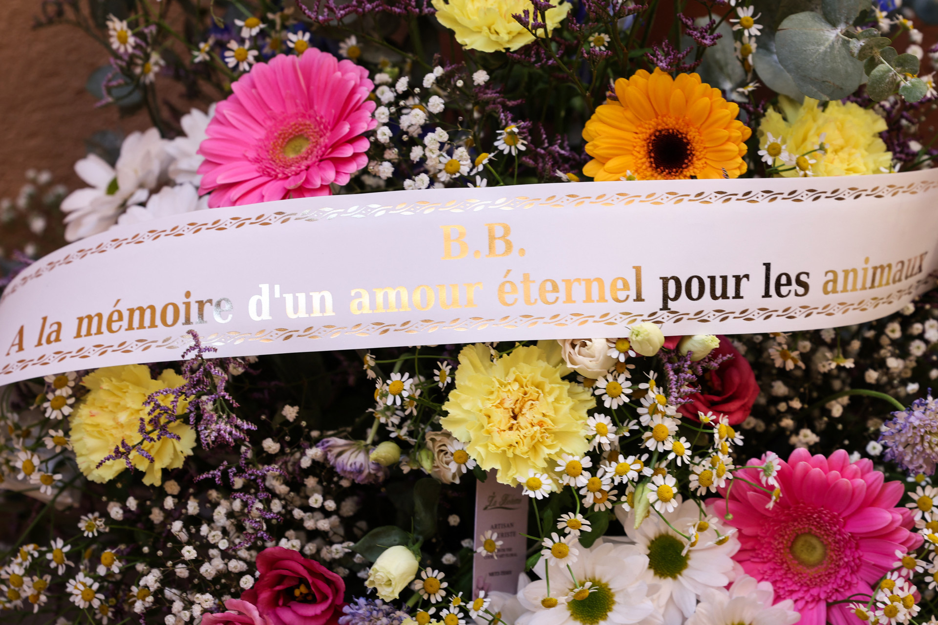 Brigitte Bardot foi um ícone do cinema francês - Valery Hachie / AFP