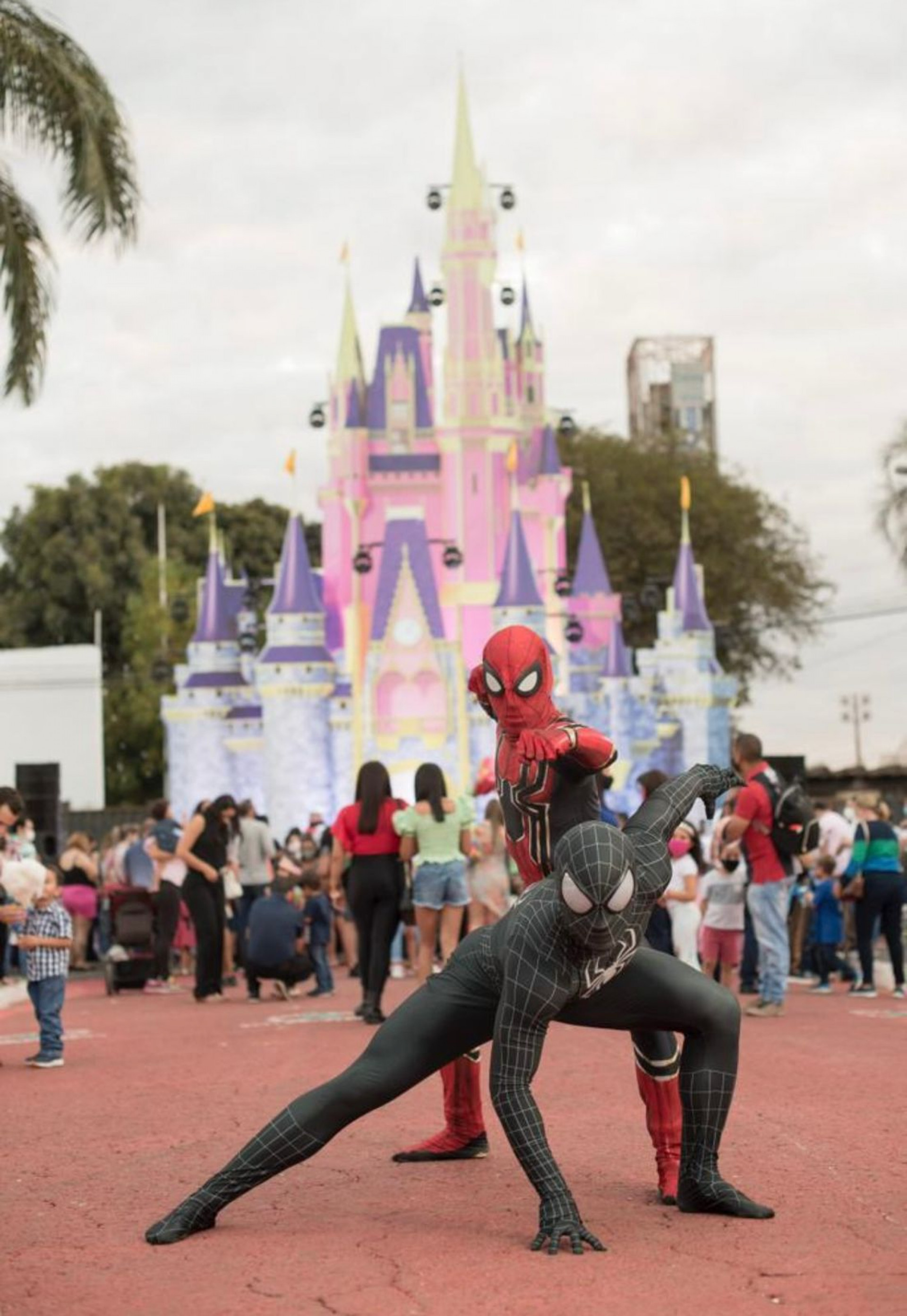 Magia da Disney desembarca em Bangu com experiência imersiva - Dvulgação / Magic World Experience