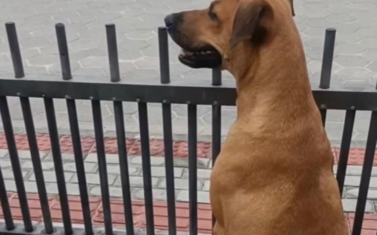 Local com muito estímulo visual pode provocar sobrecarga mental