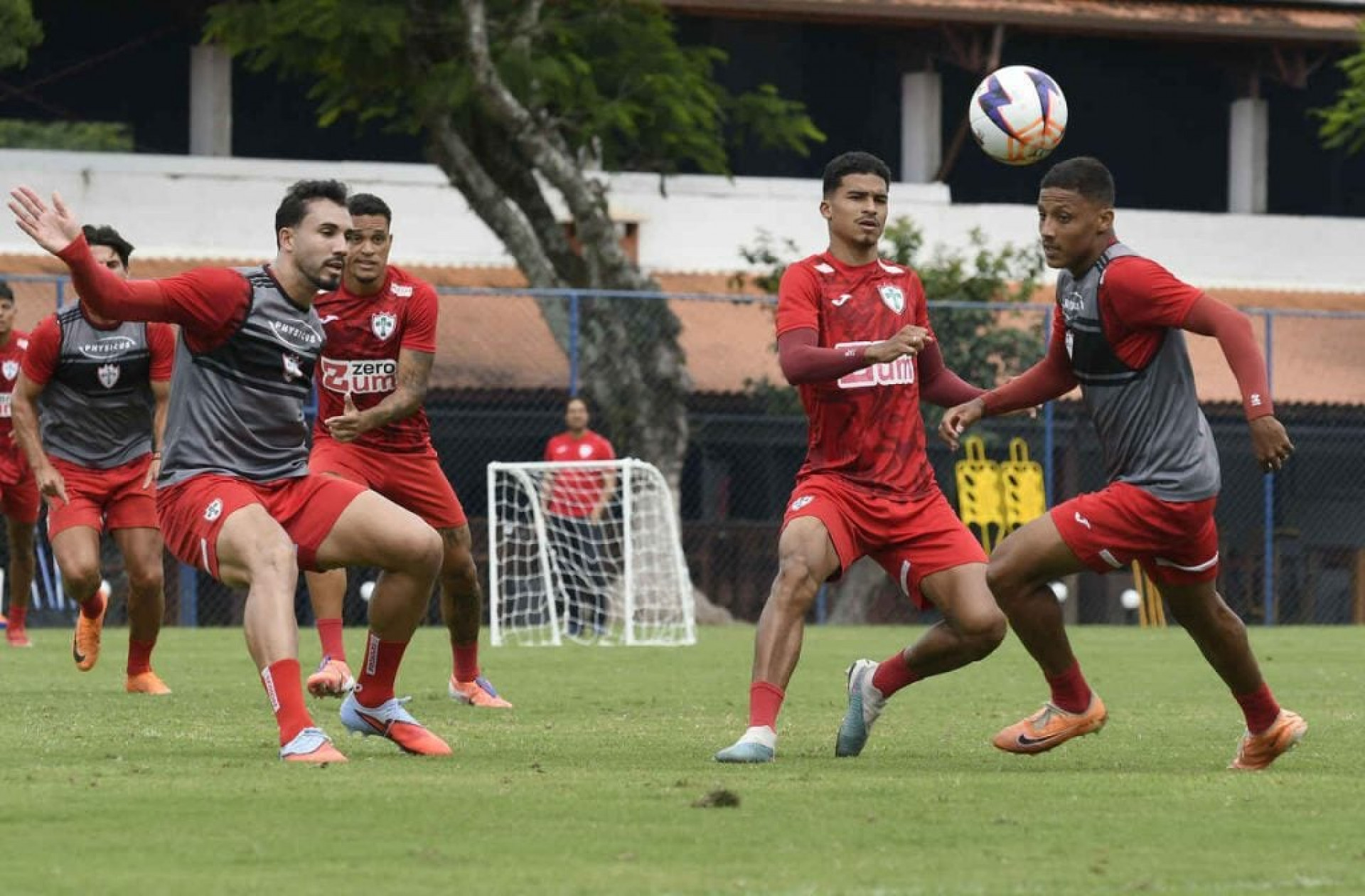 Portuguesa x Palmeiras: onde assistir, escala&ccedil;&otilde;es e arbitragem