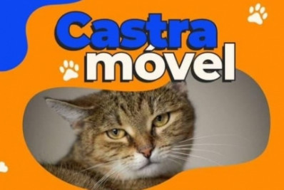 Confira onde castramóvel estará nesta semana em Caxias