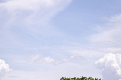 Vasco perde para o Botafogo-SP e cai na segunda fase da Copinha