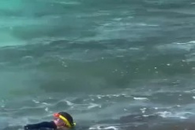 Turista é flagrado importunando tartaruga marinha em Arraial do Cabo