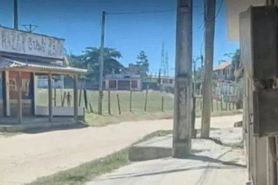 Onça-parda é flagrada passeando próximo ao Campo do Maquininha, no Alecrim, em São Pedro da Aldeia
