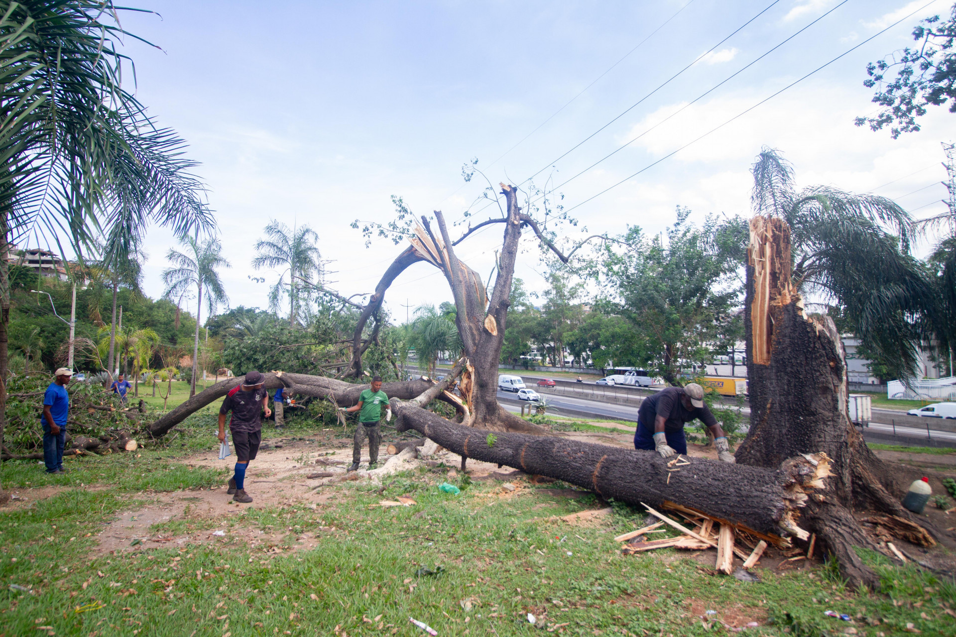 &Aacute;rvore caiu durante forte ventania em S&atilde;o Jo&atilde;o de Meriti, na &uacute;ltima quarta-feira (14) - &Eacute;rica martin/Ag&ecirc;ncia O Dia
