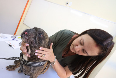 Cidade oferece serviços veterinários gratuitos no Fonseca