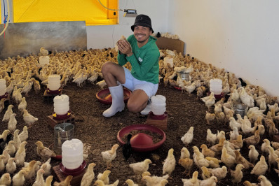 Maurício Léo: 200 galinhas, um sonho e milhões nas redes