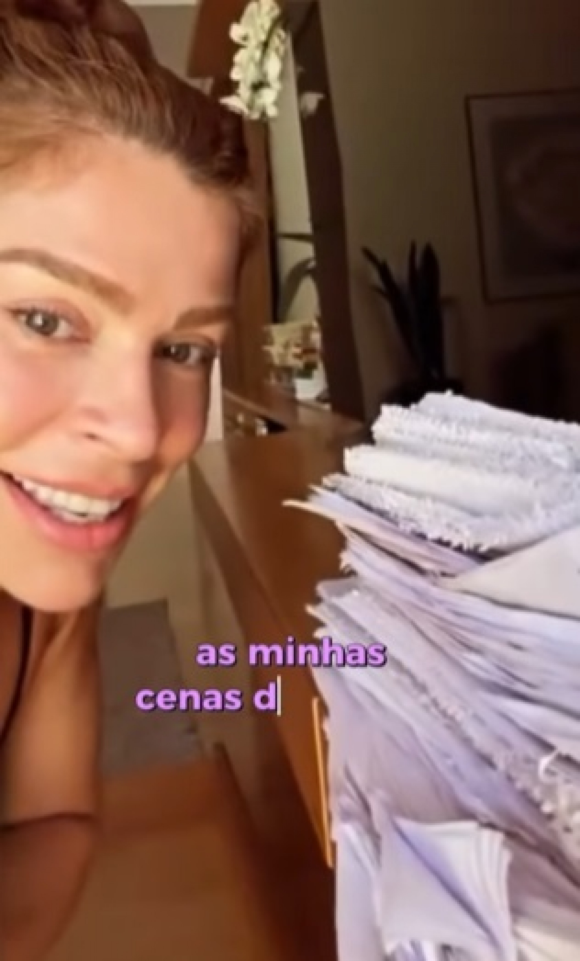 Grazi Massafera exibiu pilha de roteiros decorados - Reprodução/Instagram