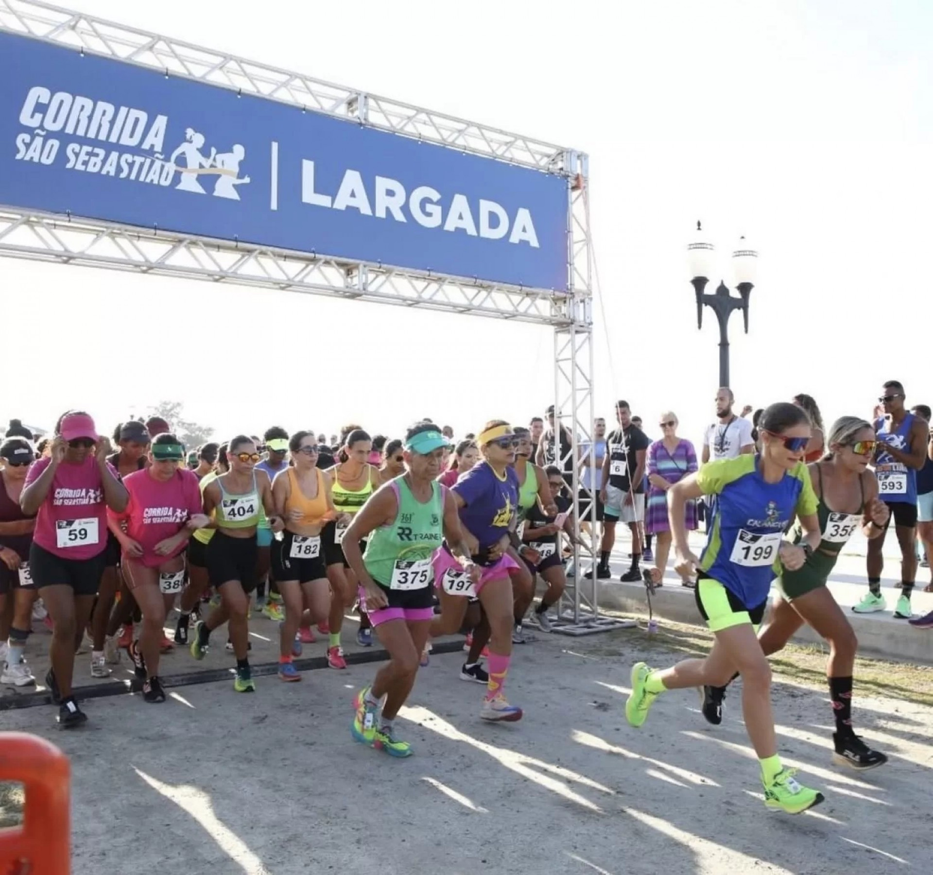 Ocupa&ccedil;&atilde;o hoteleira - Reprodu&ccedil;&atilde;o