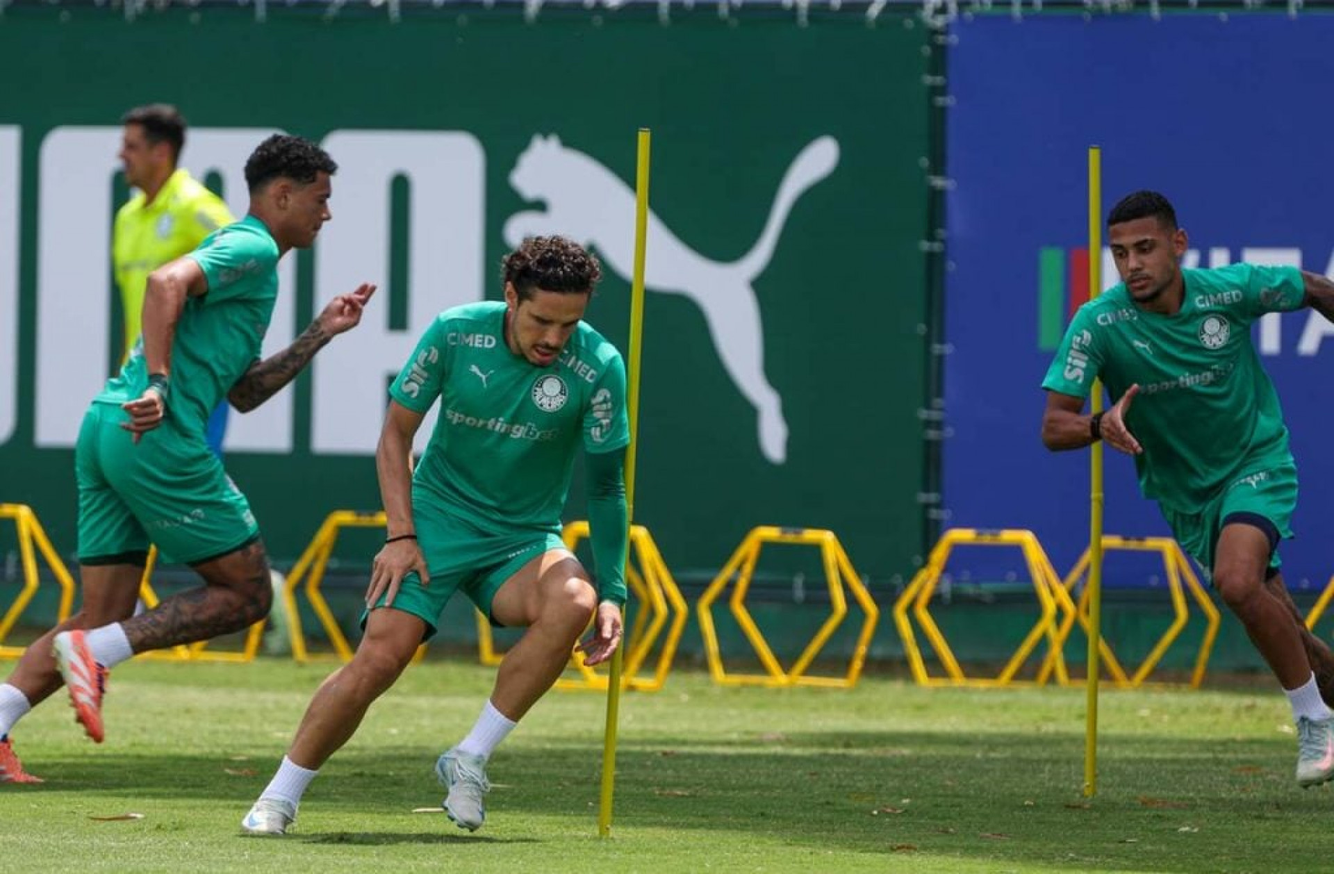 Palmeiras x Mirassol: onde assistir, escala&ccedil;&otilde;es e arbitragem